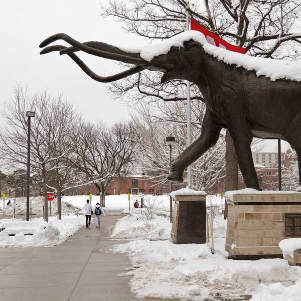 13 Things To Do When Stuck In Your Dorm