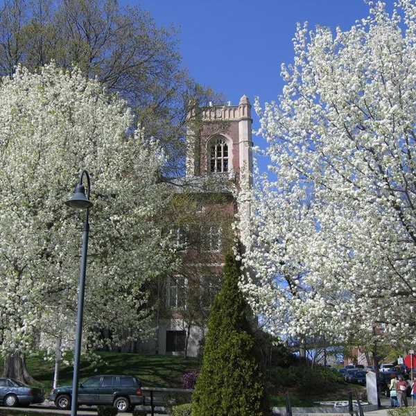 Back To School: College Edition