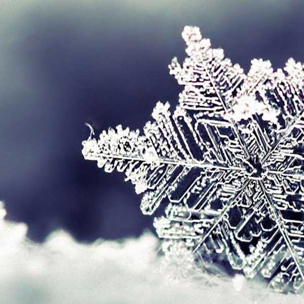 Winter Wonderland In The Pacific Northwest