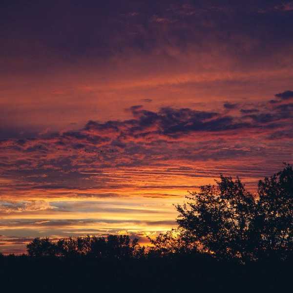 10 Distinct Thoughts During Your Last Semester On Campus