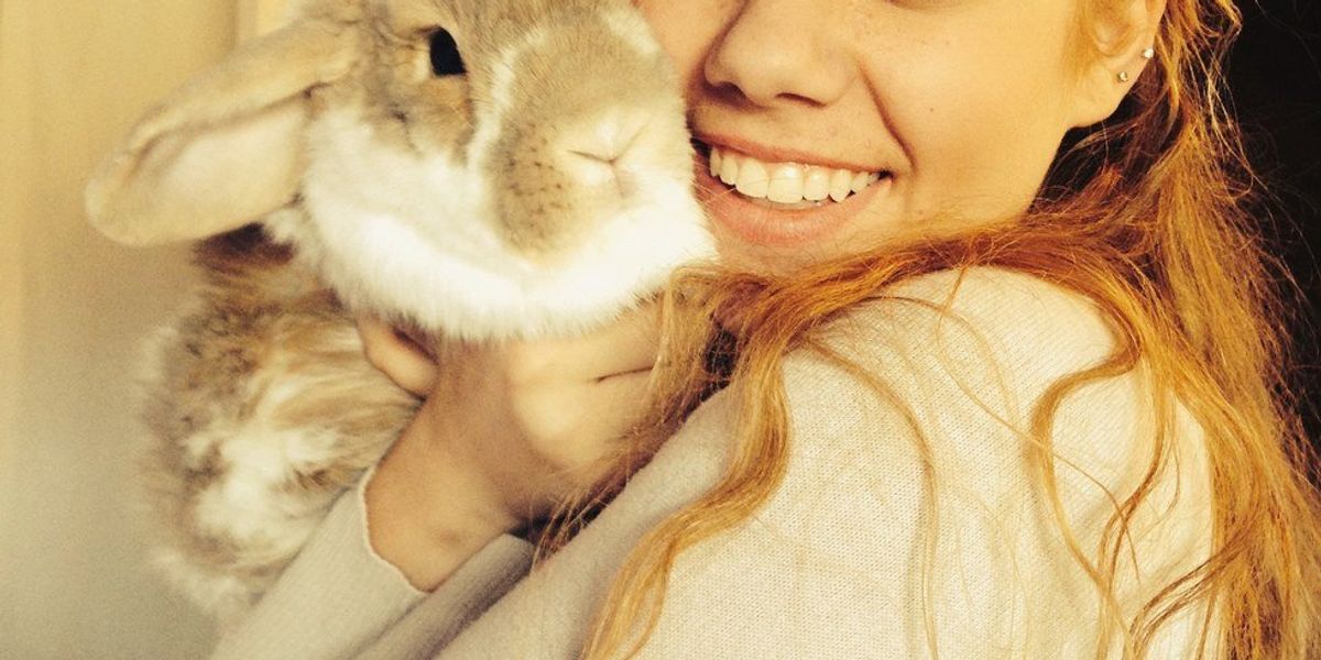 Jamie Garibaldi Rabbit Getting A Rabbit Was One Of The Best Things I Ever Did | The Odyssey Online