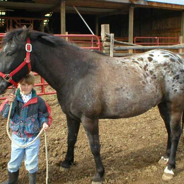 To Be A Rancher's Daughter