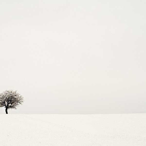 Why We're All Drawn To Minimalism