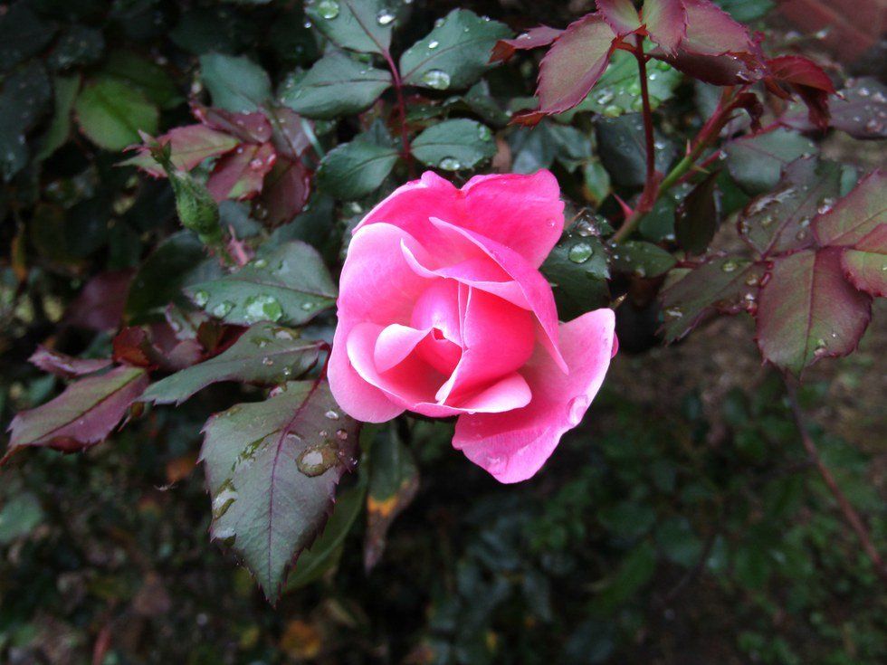 Looking Beyond World Standards