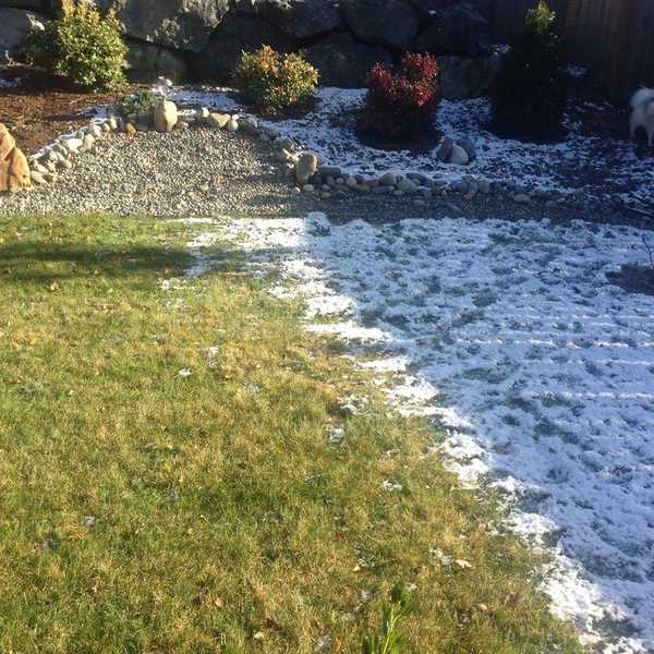 Oh, January. You Again.