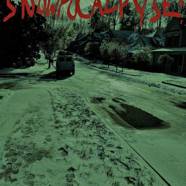 My First Southern "Snow Storm"