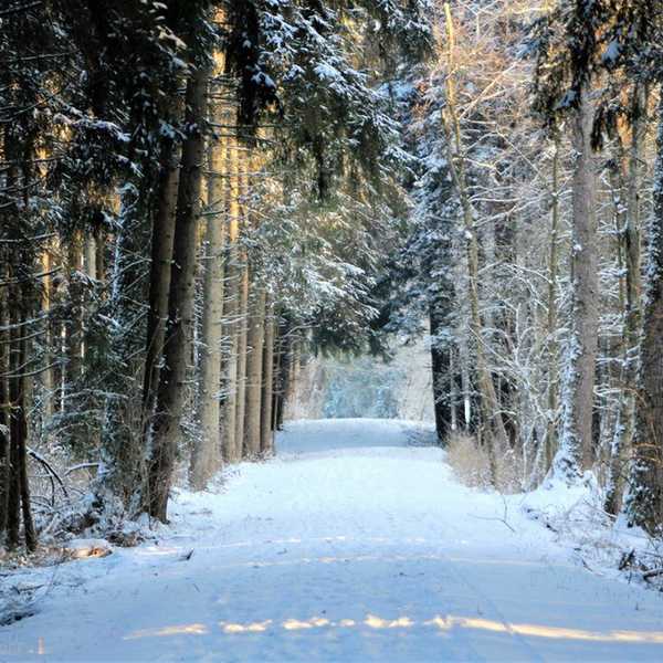15 Ways To Be Happier This Winter