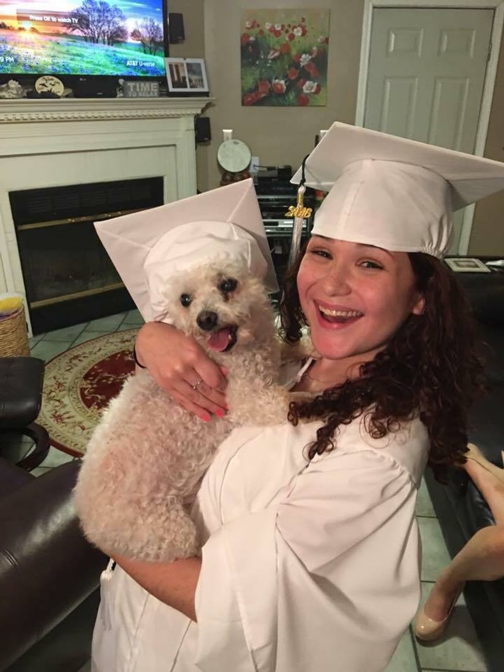 An Open Letter to my Dog