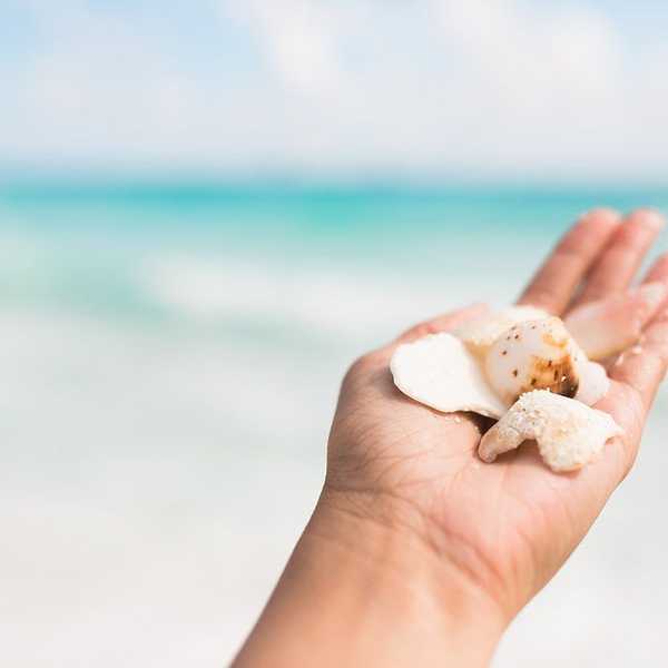 How To Share Life's Moments On Instagram Without Missing Them In The Process