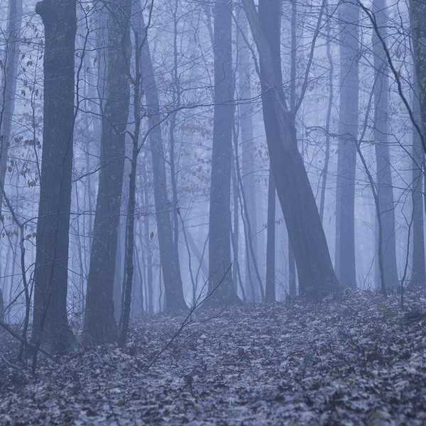 Urban Legends: Part 2