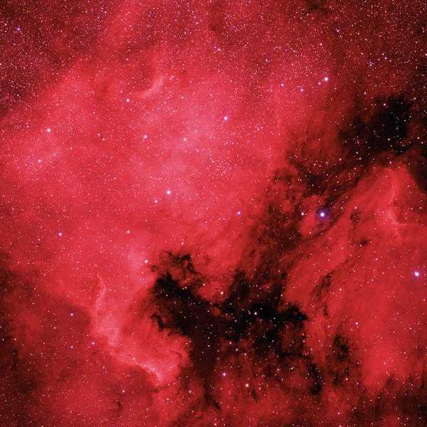 Why I Hate The Color Red