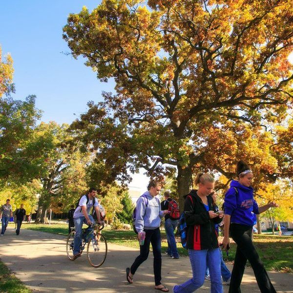 What College Actually Teaches You