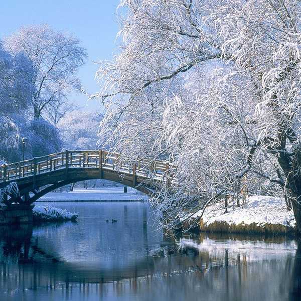 10 of the Best Winter Activities in NY