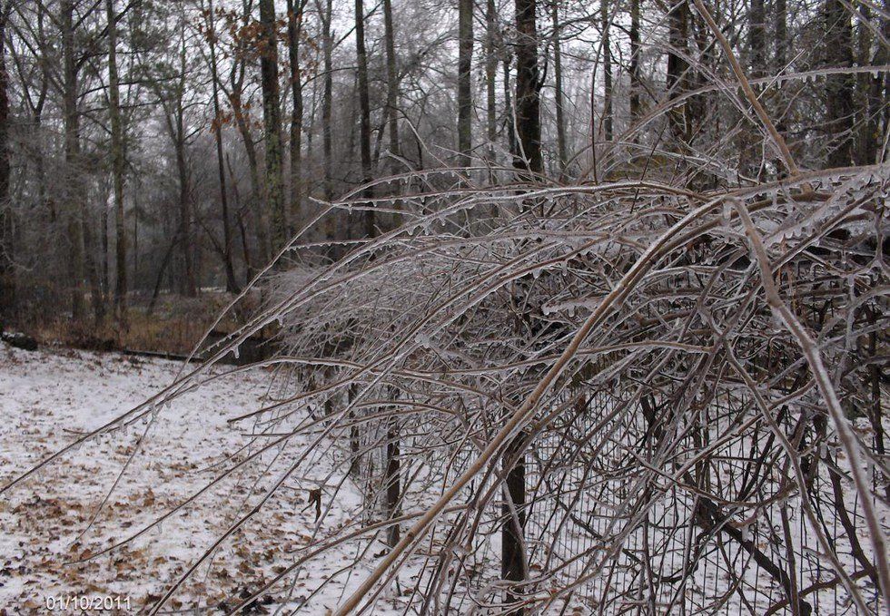 Thoughts You Have When It "Snows"