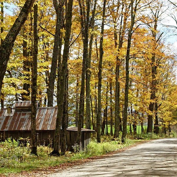 10 Reasons Why I'm Thankful for Vermont