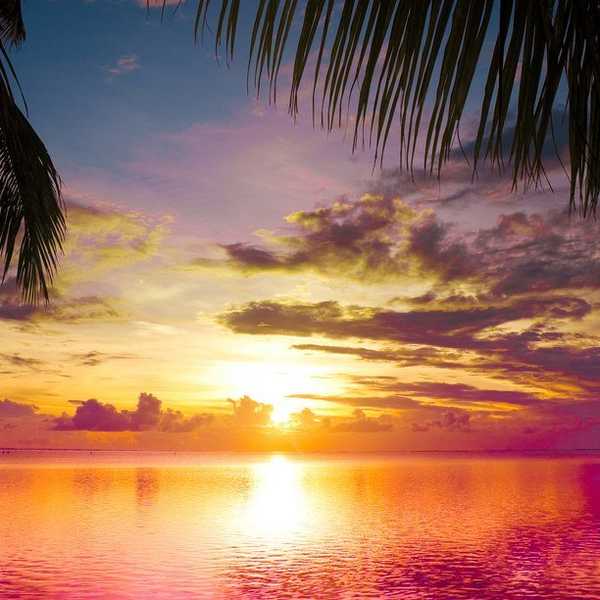 Why This Year We Should Start Saying “Thank You” Instead Of “I’m Sorry”