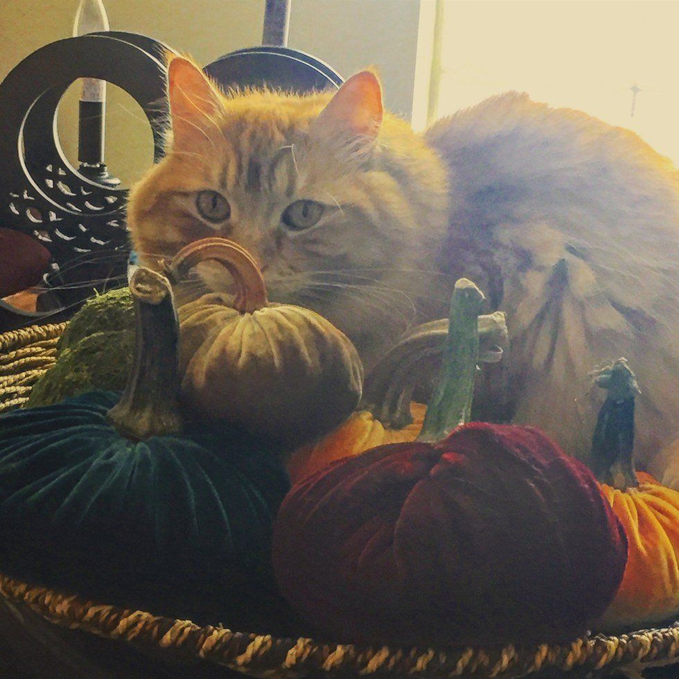 Finding A Home Within Yourself