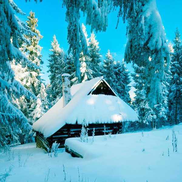 10 Things Needed To Survive The Michigan Winter