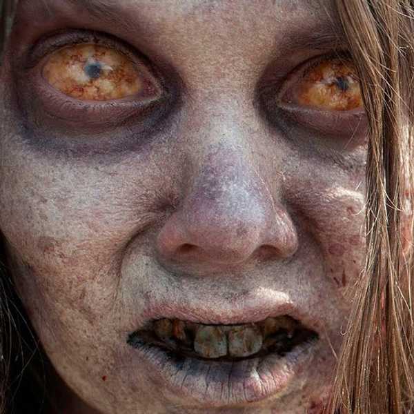 The Cultural Evolution Of The Modern Zombie