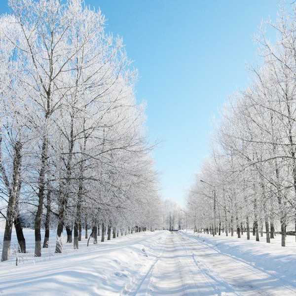Top 10 Snow Day Activities