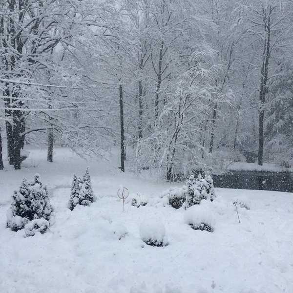 It Snowed In New England