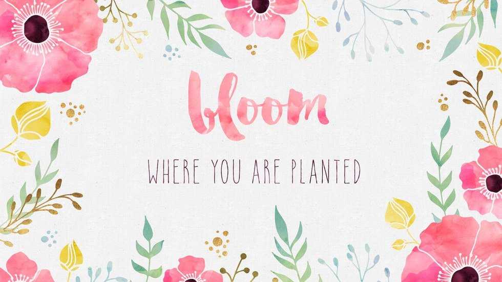 How To Find Your Next "Right Move"