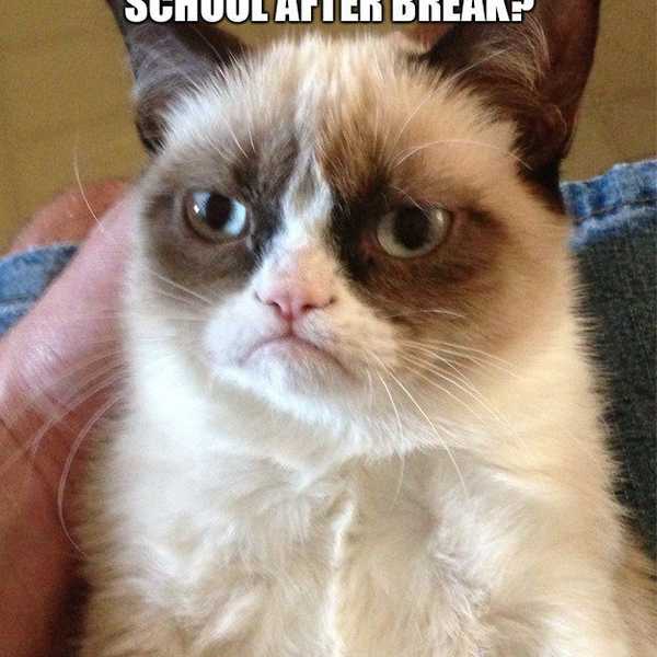25 Thoughts You Have When Returning To School After Break