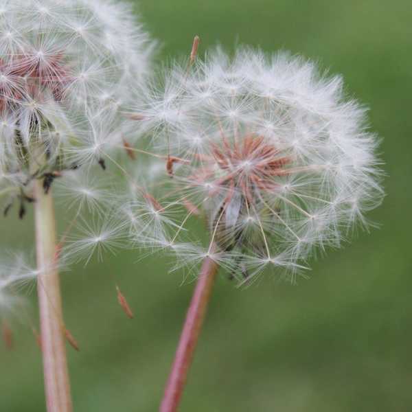 Seven Things I Wish I Realized Sooner