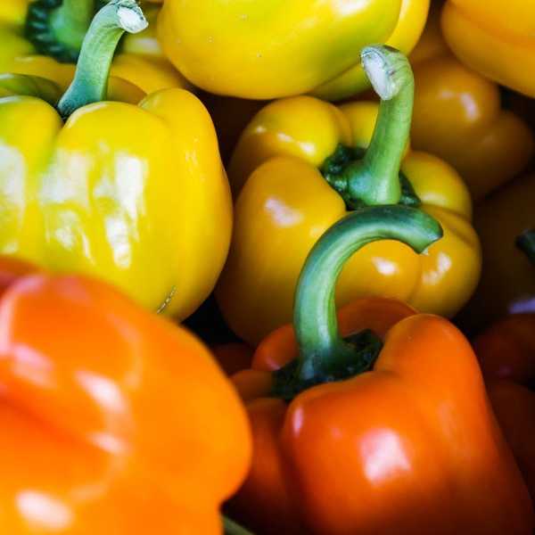 I Did the Habanero Pepper Challenge So You Didn't Have To
