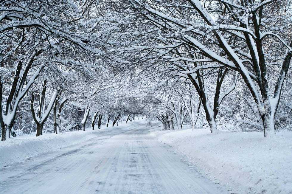8 Ways To Combat Your Winter Break Woes