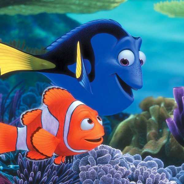 My Final College Semester As Told By Finding Nemo