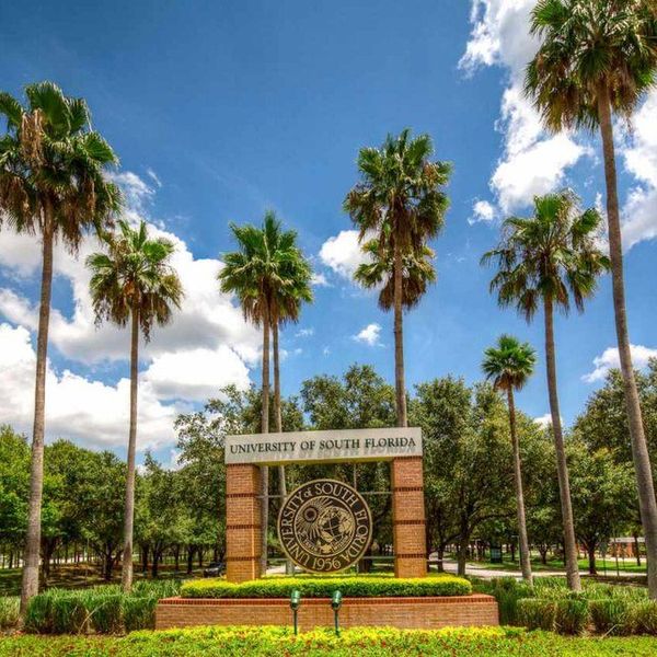 Coming Back To College After Winter Break