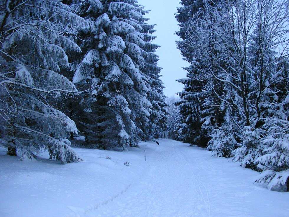 3 Essential Clothing Items For Michigan Winters