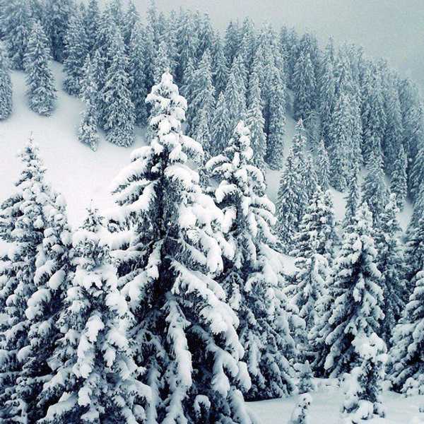 Coming Home for Winter Break as a College Student
