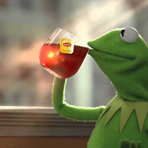 40 Memes That Sum Up 2016