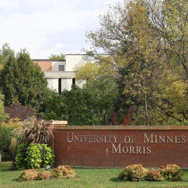 My Advice For College