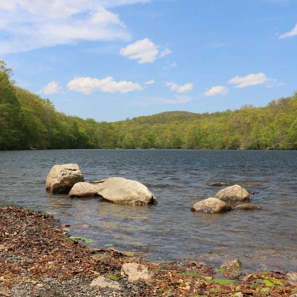 17 Ways You Can Go Green In 2017