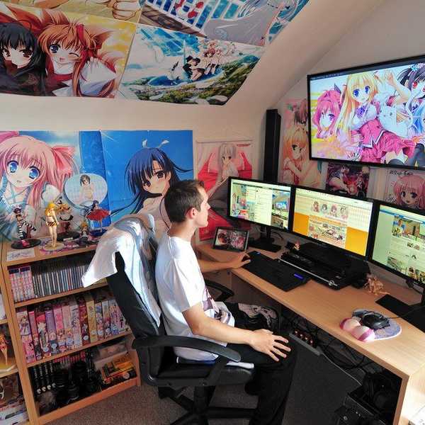 The Otaku In The Room