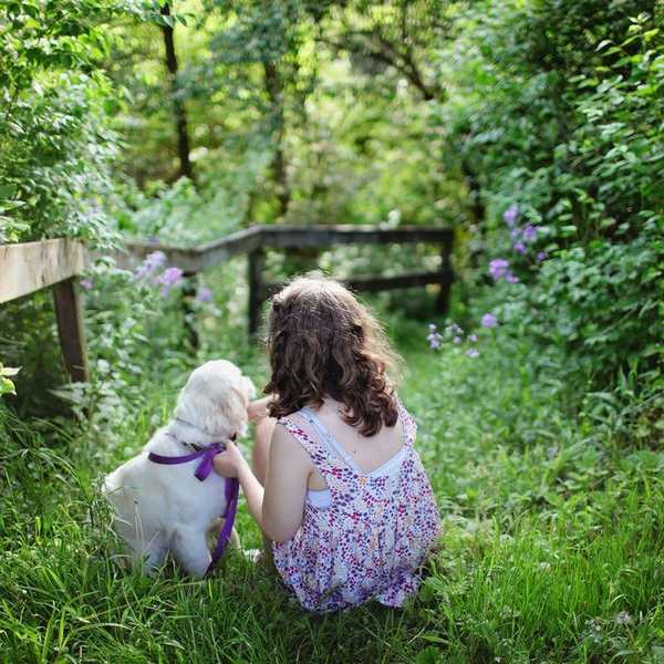 The Importance Of Pets