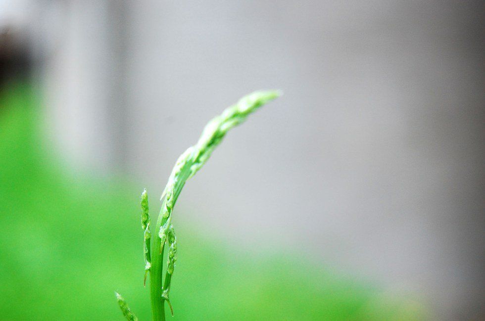 What We Should Start and Stop Doing in 2017