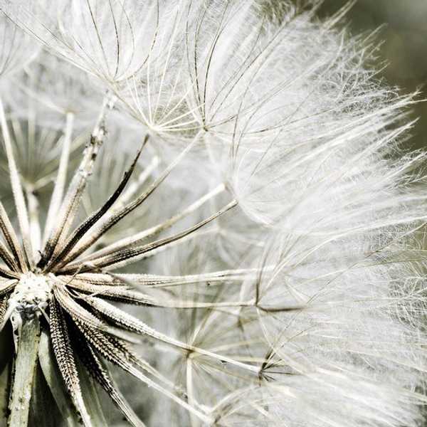 Goals For 2017 As Viewed By A College Student