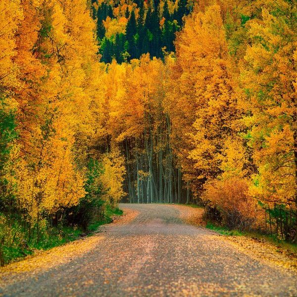 Surviving High School Through Friendships