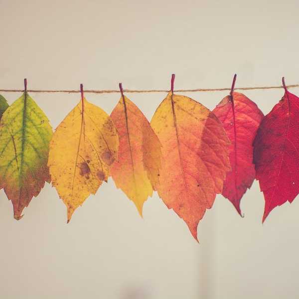 Being A Person Who Struggles With Change
