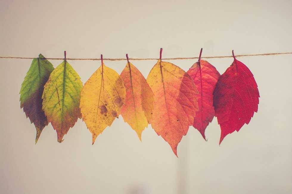 Being A Person Who Struggles With Change