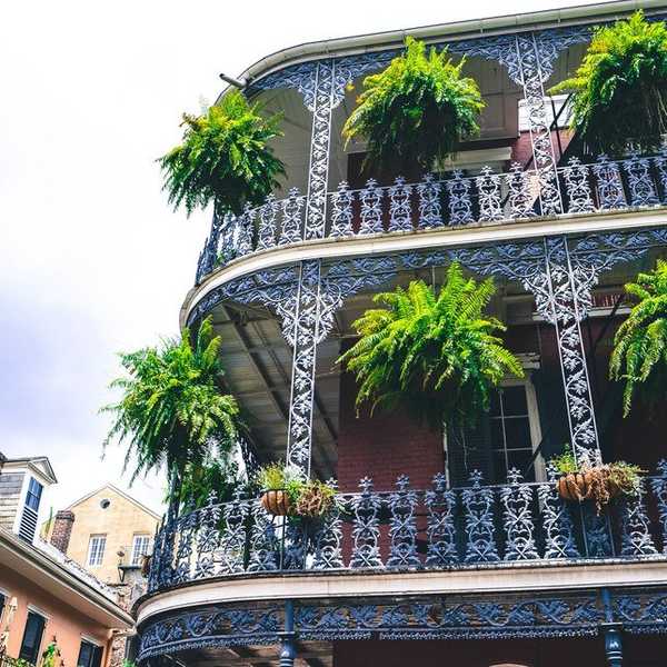 5 Things To Look Forward To This Year In NOLA