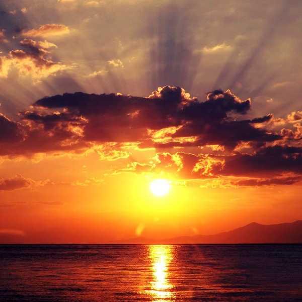 Finding Positivity In The Negativity of 2016