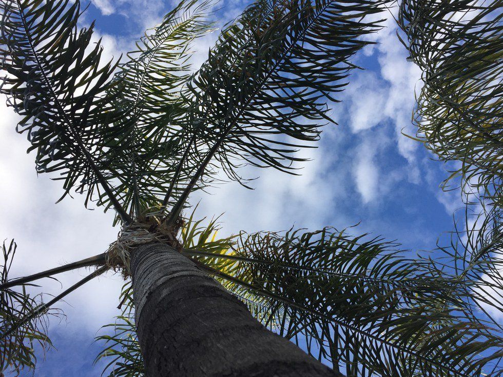 New Year's Eve Is My Favorite Holiday Because...