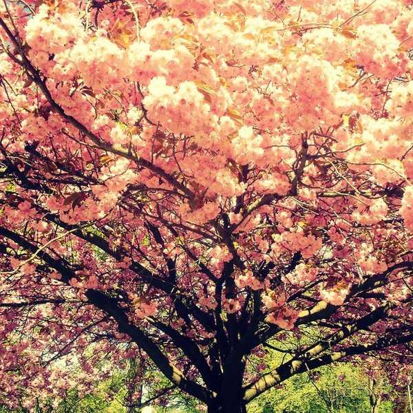 14 Gender Nonconforming Beauties In Anime And Manga