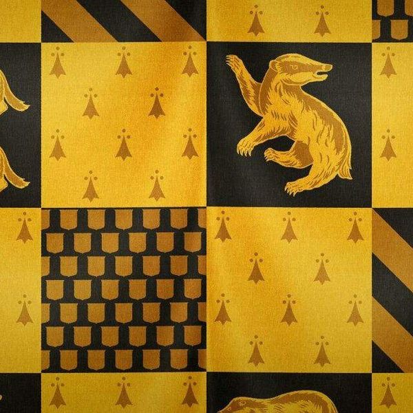 10 Reasons Why Hufflepuffs Are The Best