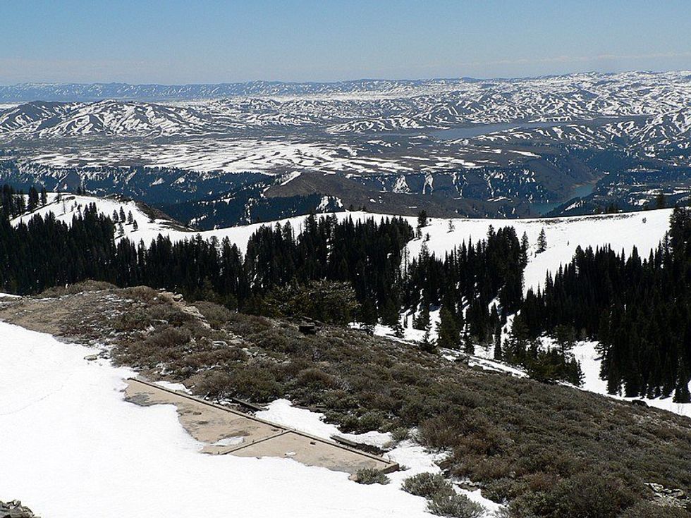 Jumping Ship & Abandoning All Responsibilities